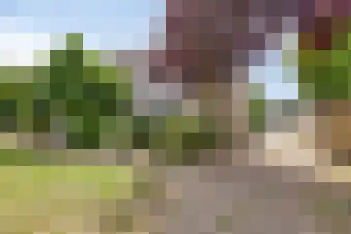 Oldorphof 2 Arnhem thumbnail 43