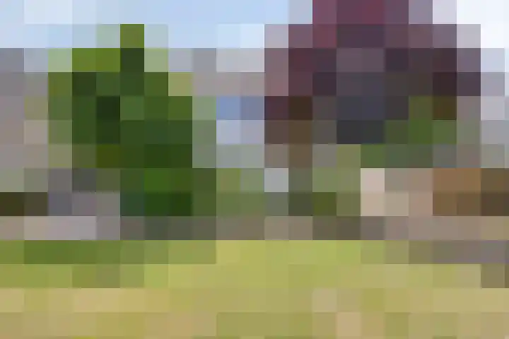 Oldorphof 2 Arnhem thumbnail 44