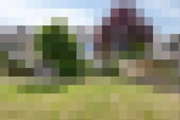 Oldorphof 2 Arnhem thumbnail 45