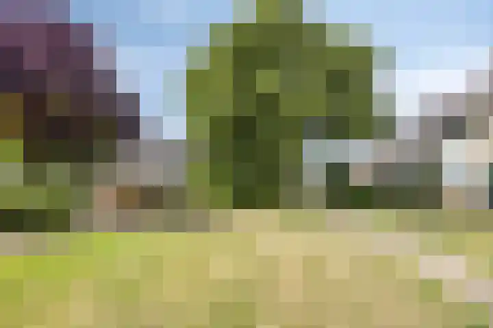 Oldorphof 2 Arnhem thumbnail 47