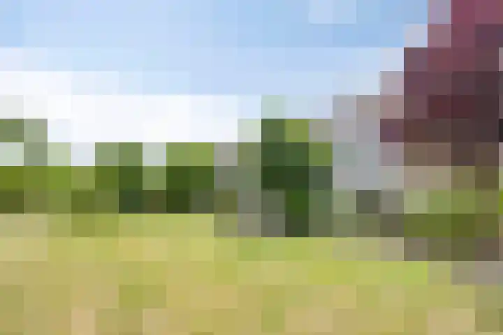 Oldorphof 2 Arnhem thumbnail 48
