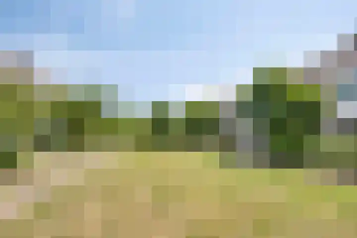 Oldorphof 2 Arnhem thumbnail 49