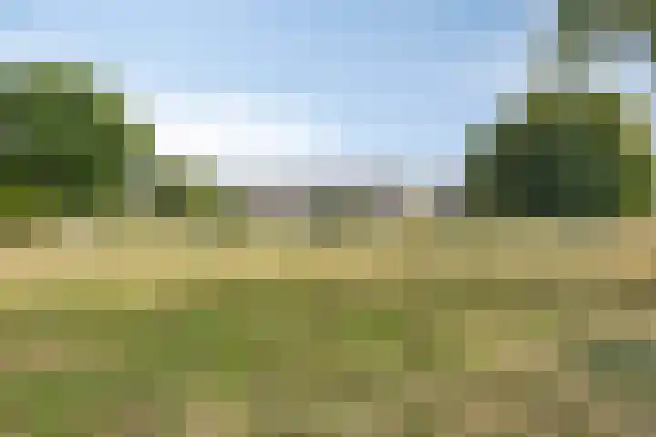 Oldorphof 2 Arnhem thumbnail 50