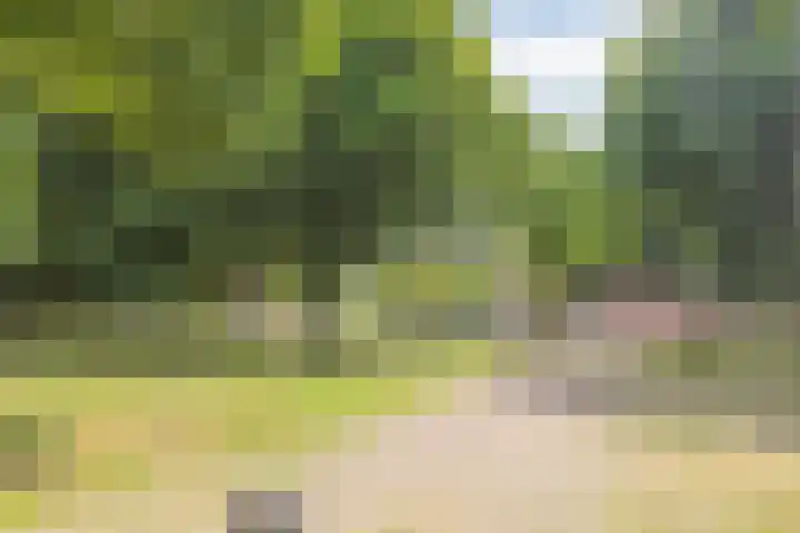 Oldorphof 2 Arnhem thumbnail 51