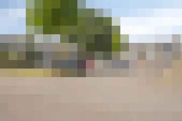 Oldorphof 2 Arnhem thumbnail 52