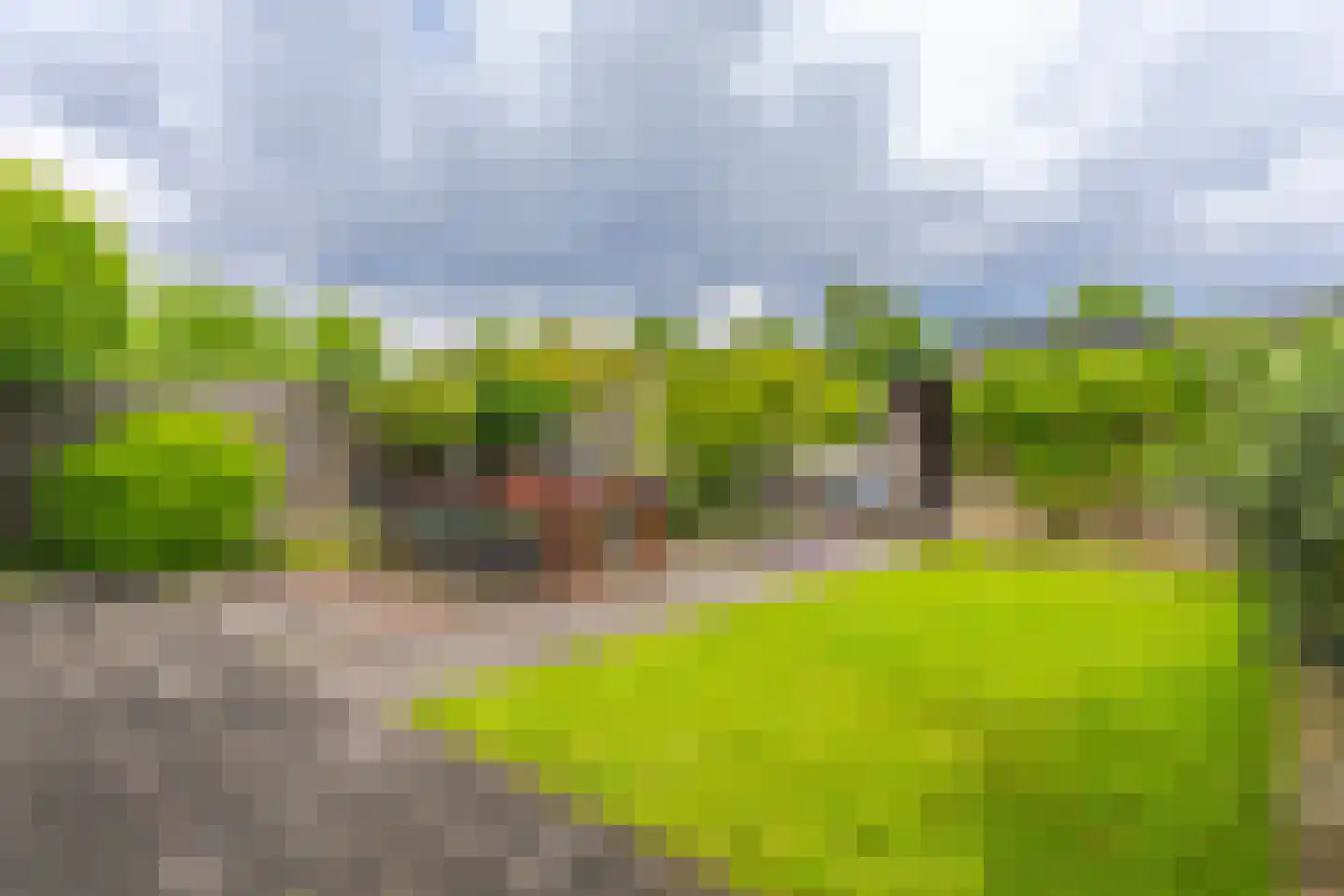 Oldorphof 9 Arnhem thumbnail 23