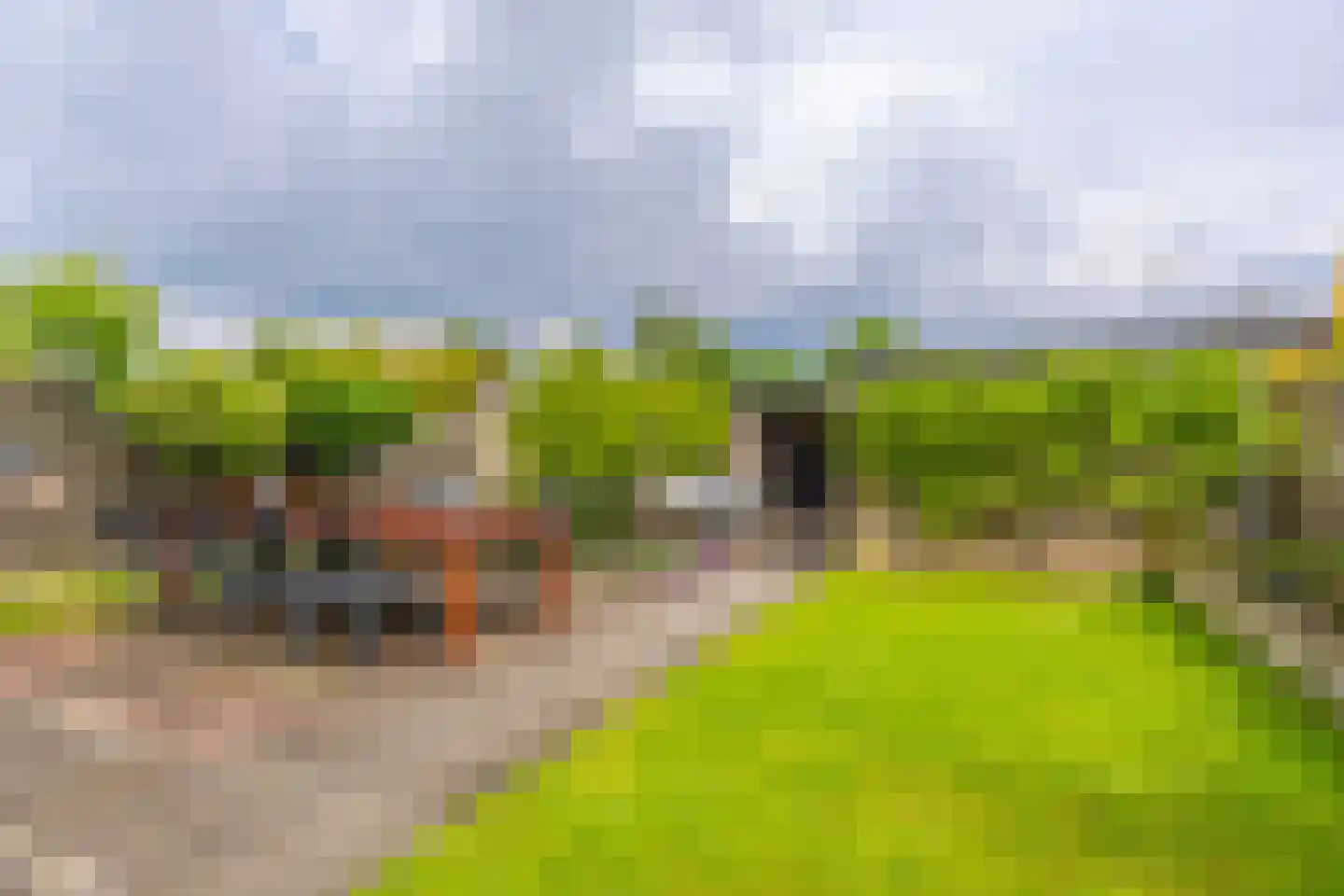 Oldorphof 9 Arnhem thumbnail 24