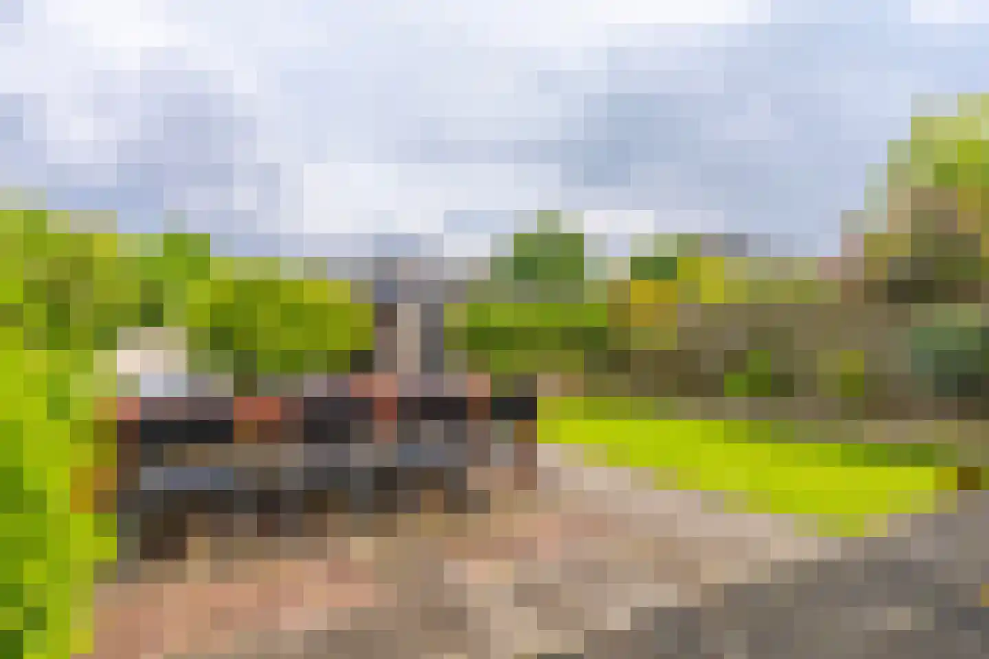 Oldorphof 9 Arnhem thumbnail 25