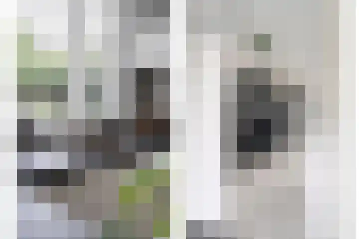 Oldruitenborghstraat 21 Zwolle thumbnail 10