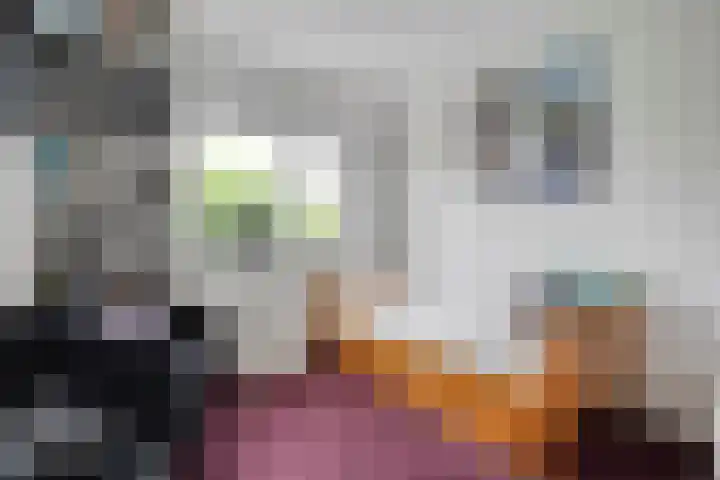 Oldruitenborghstraat 21 Zwolle thumbnail 17