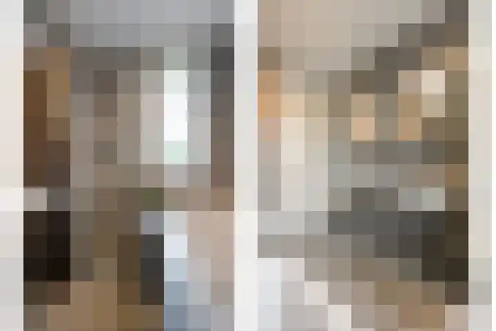 Oldruitenborghstraat 21 Zwolle thumbnail 20