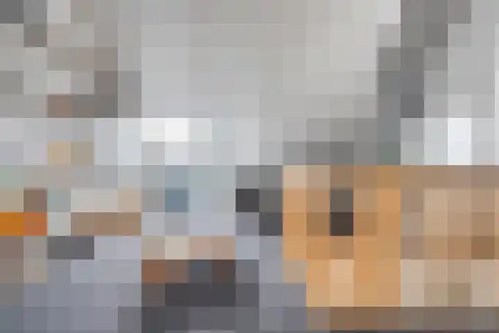 Oldruitenborghstraat 21 Zwolle thumbnail 23