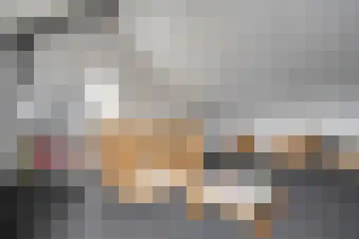 Oldruitenborghstraat 21 Zwolle thumbnail 24