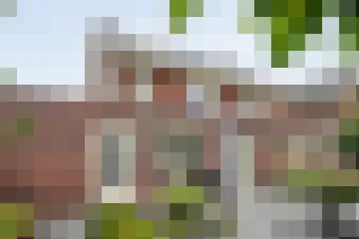 Oldruitenborghstraat 21 Zwolle thumbnail 25