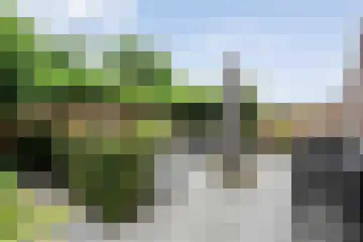 Oldruitenborghstraat 21 Zwolle thumbnail 26