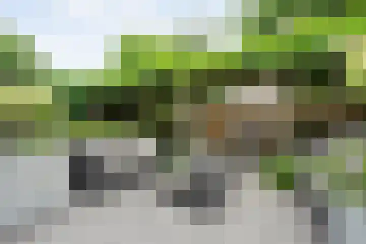 Oldruitenborghstraat 21 Zwolle thumbnail 28