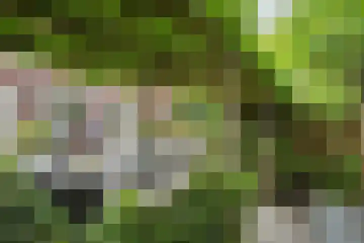 Oldruitenborghstraat 21 Zwolle thumbnail 30