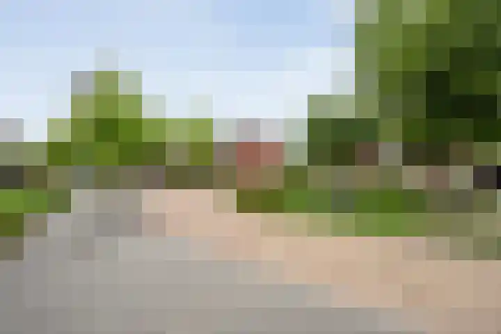 Oldruitenborghstraat 21 Zwolle thumbnail 32