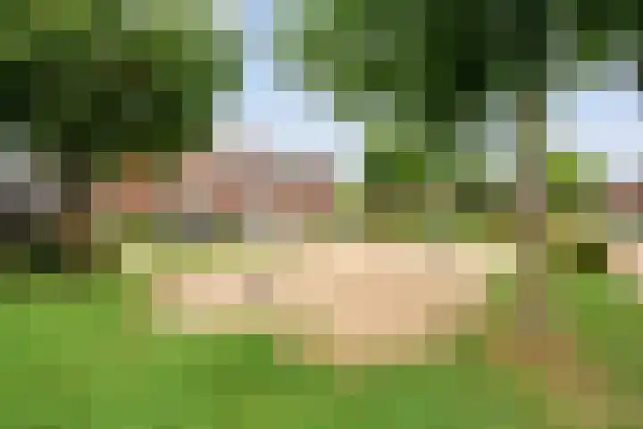 Oldruitenborghstraat 21 Zwolle thumbnail 34