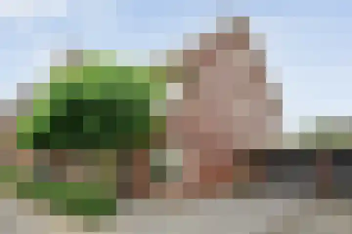 Oldruitenborghstraat 21 Zwolle thumbnail 36