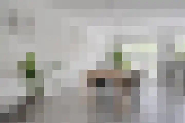 Oldruitenborghstraat 21 Zwolle thumbnail 4