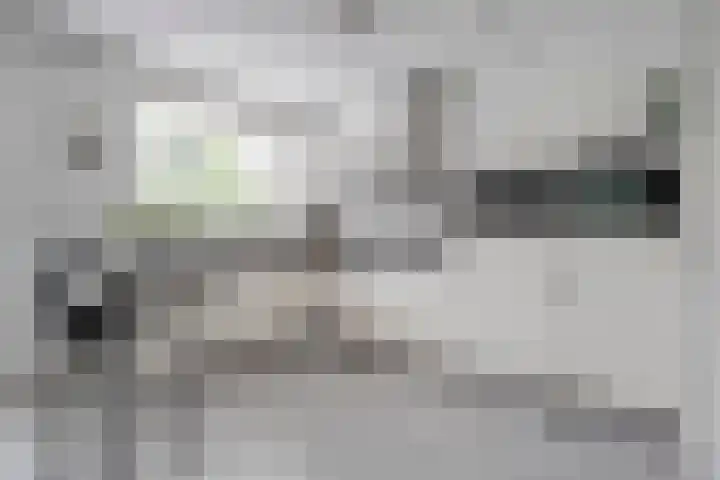 Oldruitenborghstraat 21 Zwolle thumbnail 9