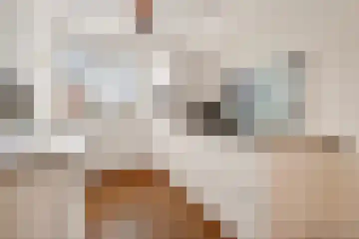Oldruitenborghstraat 27 Zwolle thumbnail 13