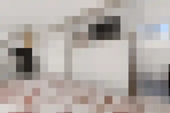 Oldruitenborghstraat 27 Zwolle thumbnail 30