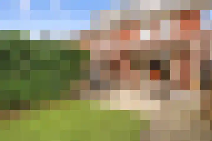 Oldruitenborghstraat 27 Zwolle thumbnail 34