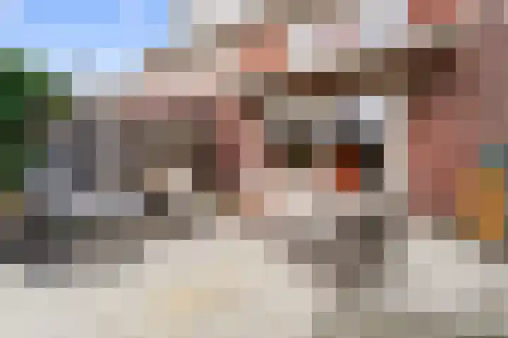 Oldruitenborghstraat 27 Zwolle thumbnail 35