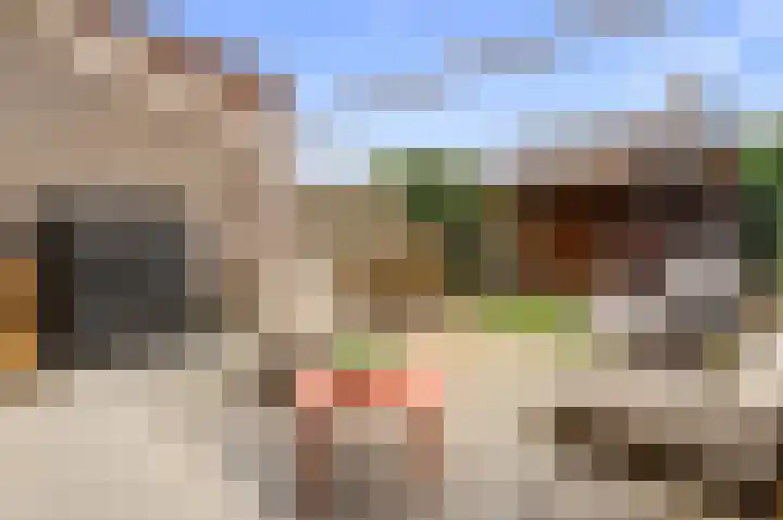 Oldruitenborghstraat 27 Zwolle thumbnail 36