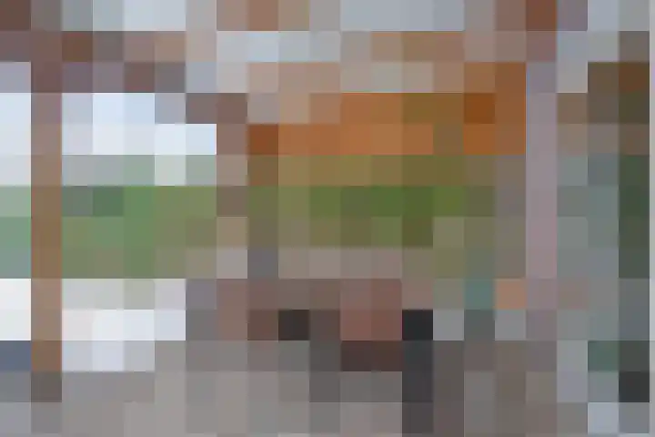 Oldruitenborghstraat 35 Zwolle thumbnail 41