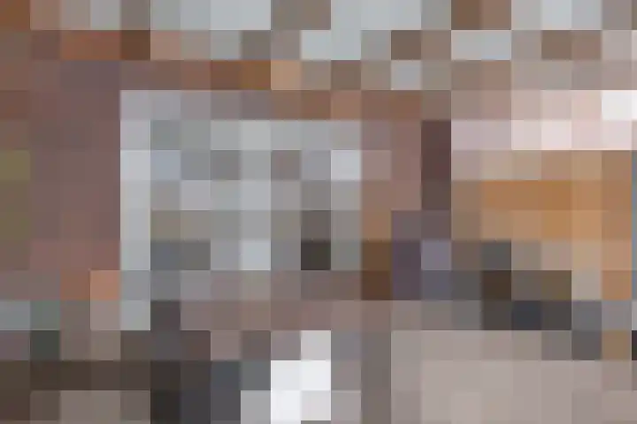 Oldruitenborghstraat 35 Zwolle thumbnail 42