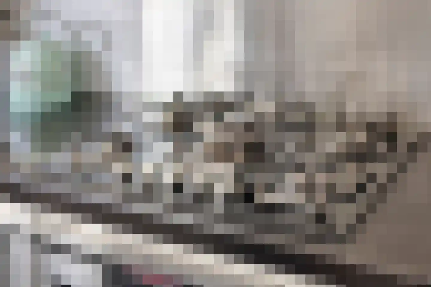 Oldruitenborghstraat 50 Zwolle thumbnail 12