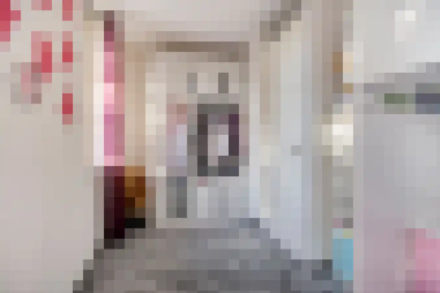 Oldruitenborghstraat 50 Zwolle thumbnail 18