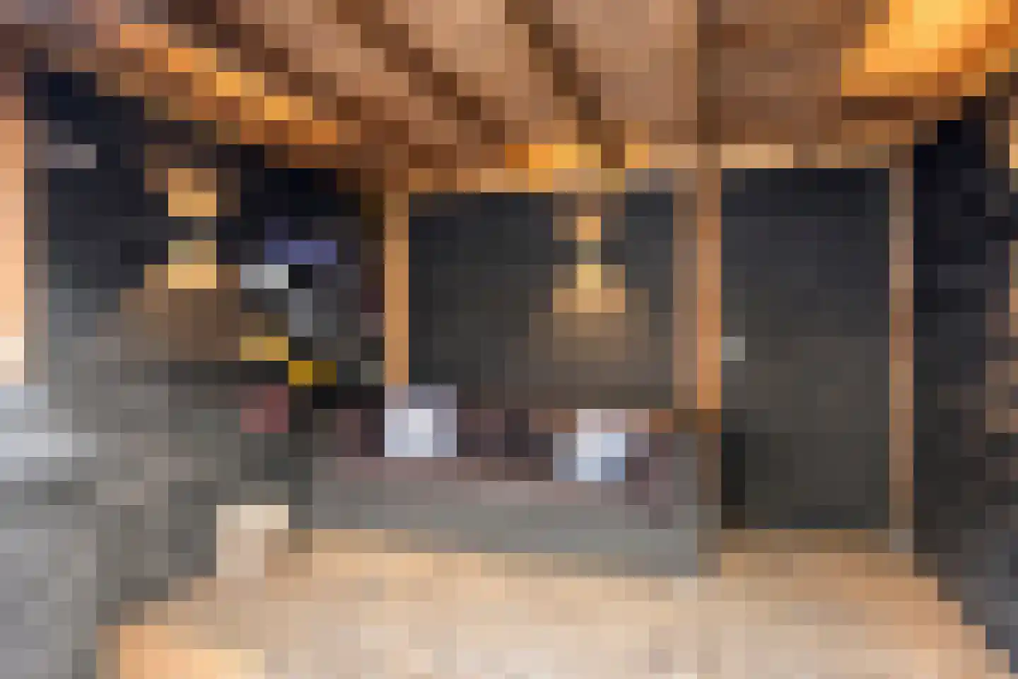 Oldruitenborghstraat 50 Zwolle thumbnail 34