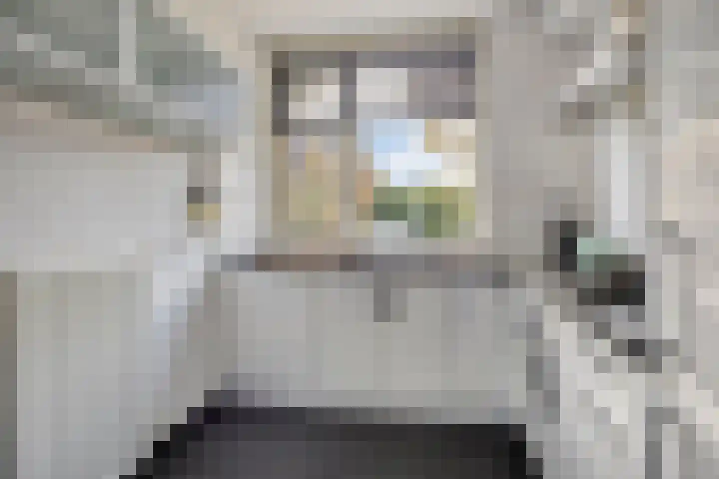 Oldruitenborghstraat 50 Zwolle thumbnail 9