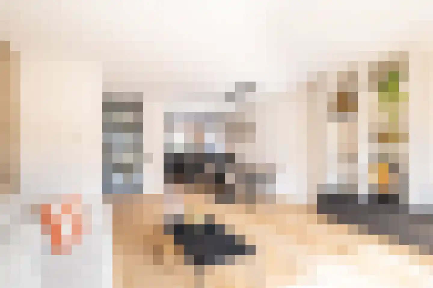 Oldruitenborghstraat 7 Zwolle thumbnail 10