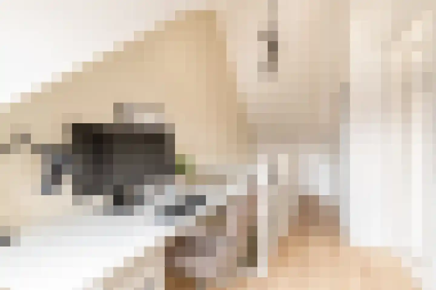 Oldruitenborghstraat 7 Zwolle thumbnail 33