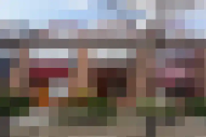 Oleander 19 en Naaldwijk