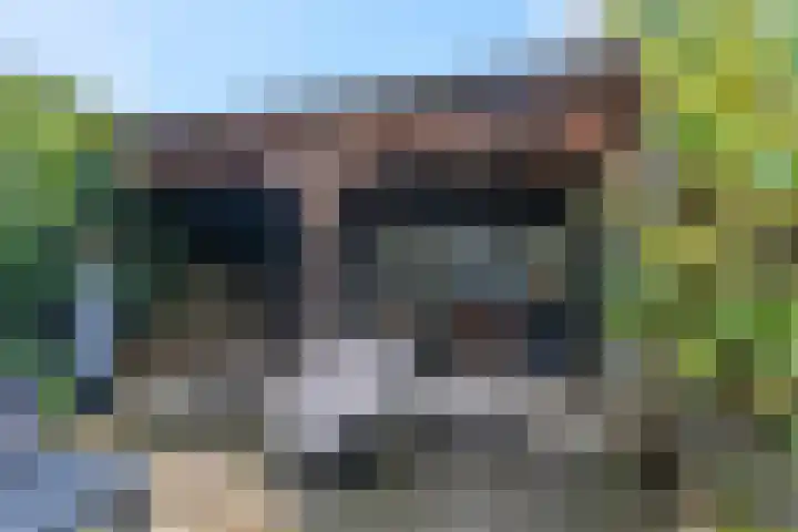 Oleander 35 Veenendaal thumbnail 32