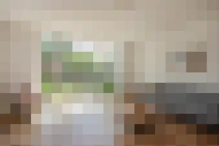 Oleander 58 Rijswijk thumbnail 10