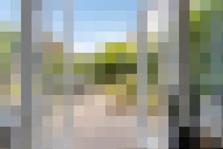 Oleander 6 a Haaksbergen thumbnail 25