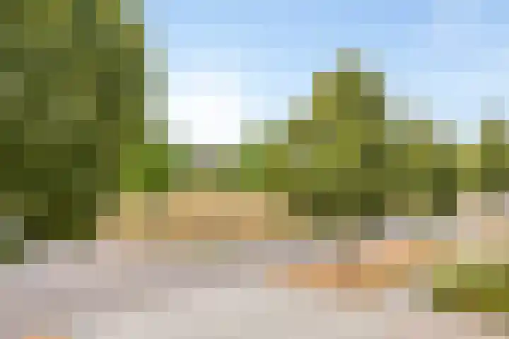 Oleander 6 a Haaksbergen thumbnail 33