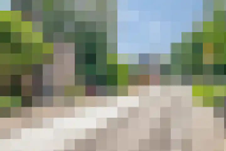 Oleander 6 a Haaksbergen thumbnail 42