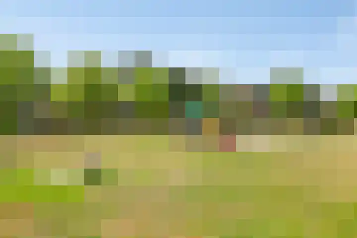 Oleander 6 a Haaksbergen thumbnail 51