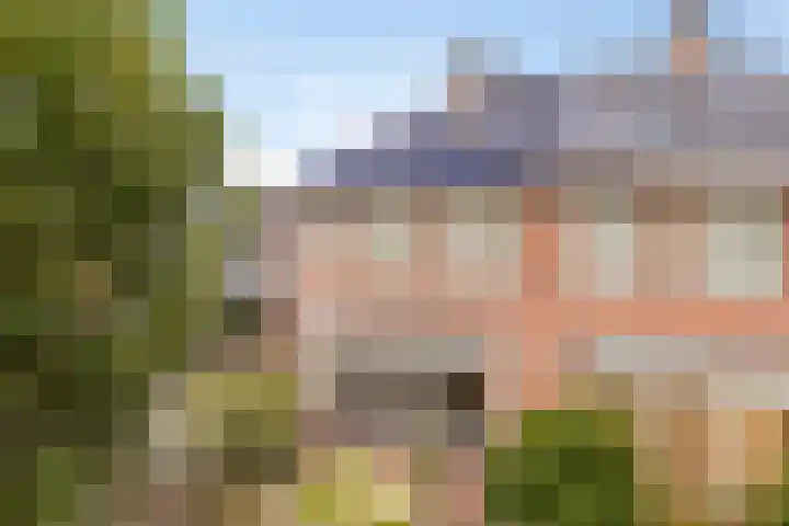 Oleander 6 a Haaksbergen thumbnail 8