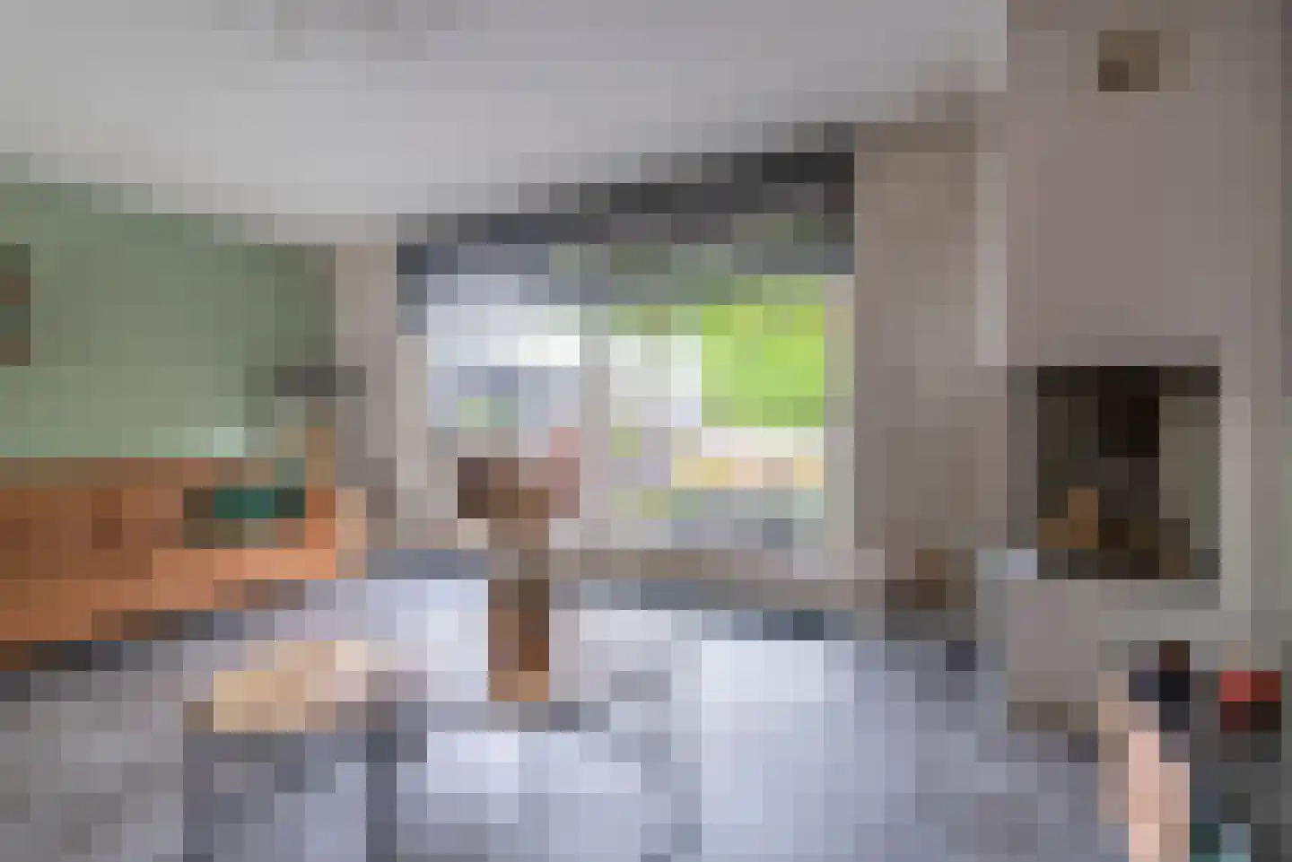 Oleander 7 Veenendaal thumbnail 11