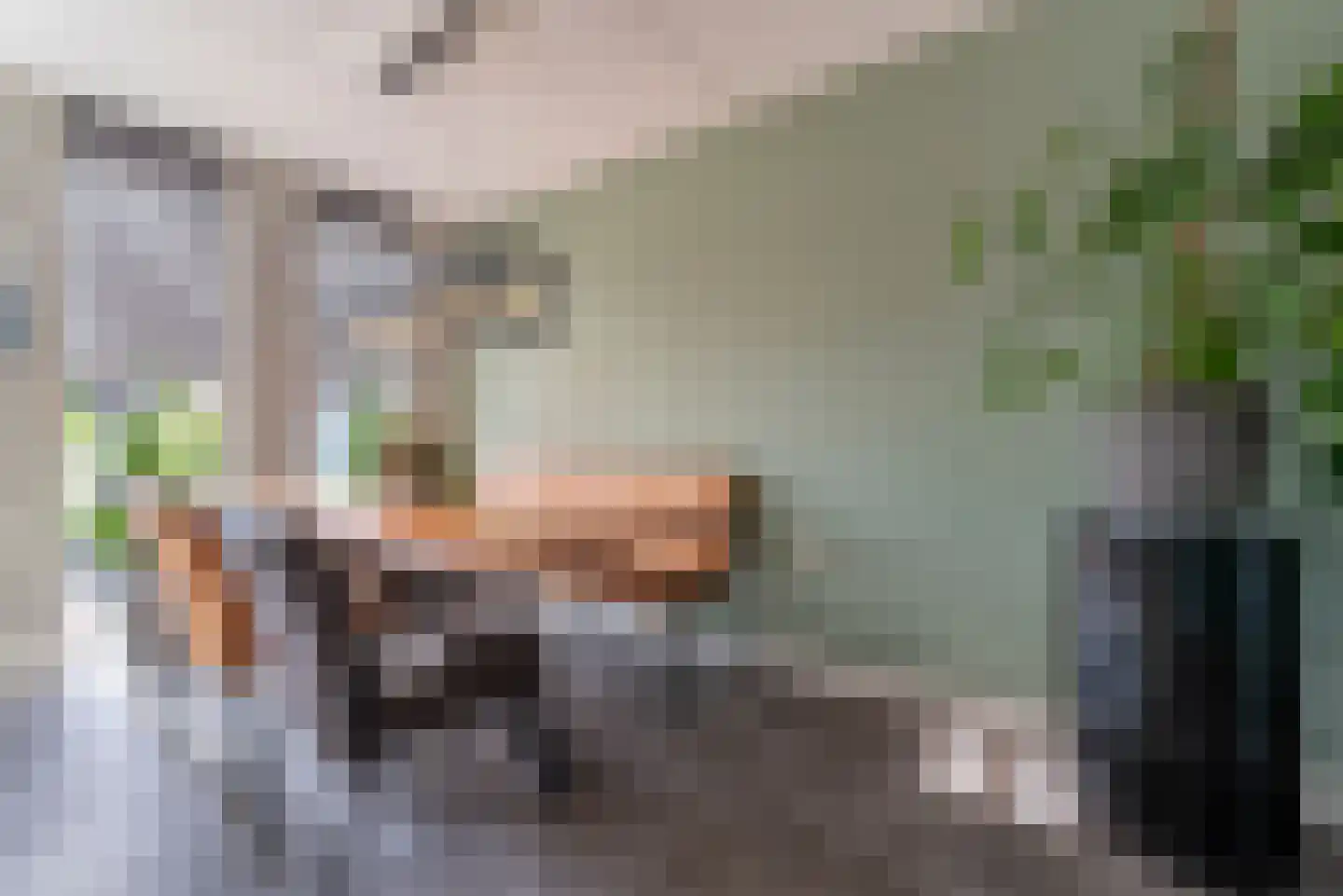 Oleander 7 Veenendaal thumbnail 13