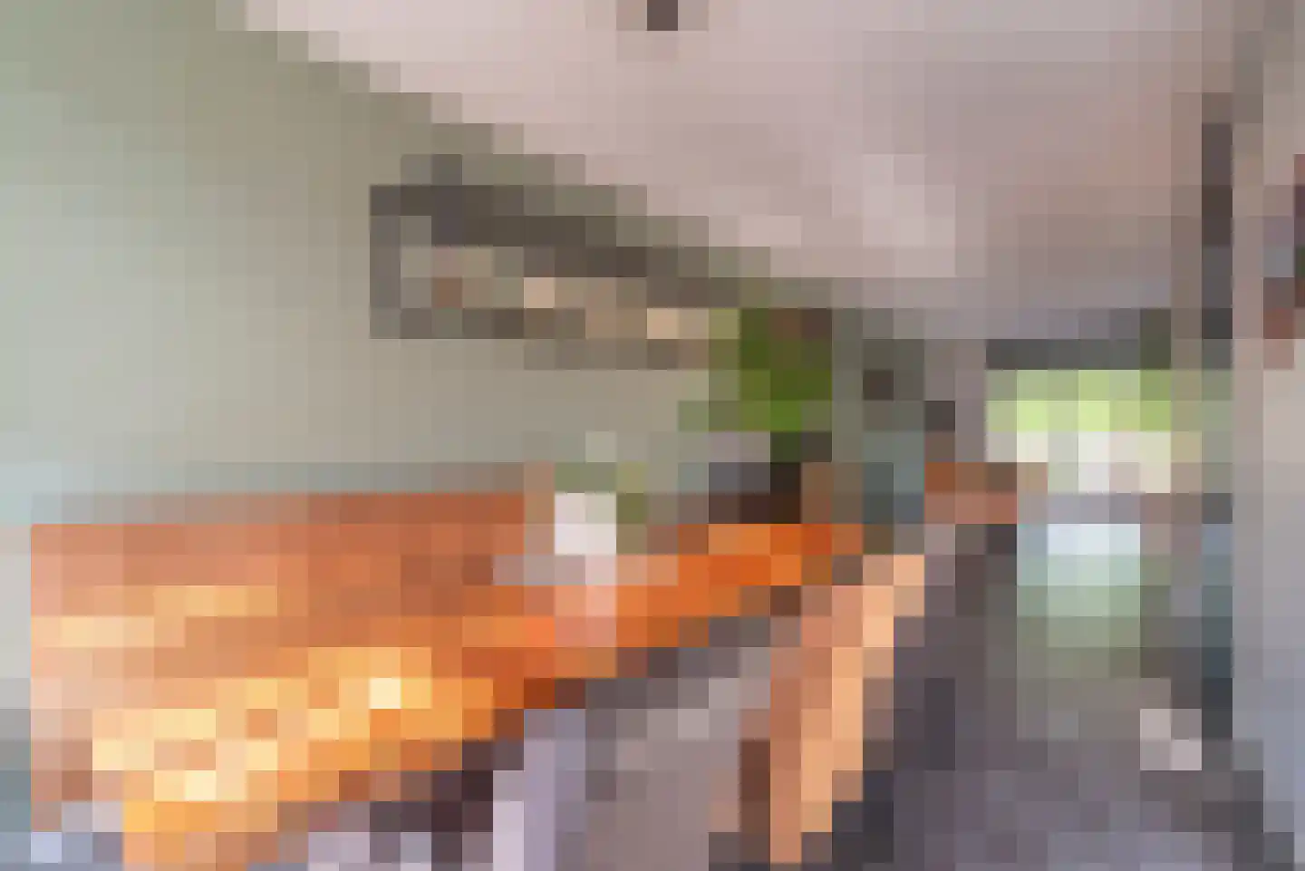 Oleander 7 Veenendaal thumbnail 14